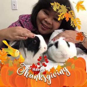 Meet your Posher, Cecilia